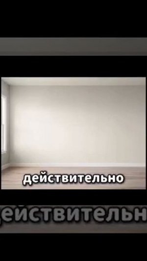 мемы