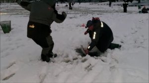 Утренние поимки форели. Клёвое место, Лосиный остров, верхний водоём.