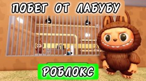 ПОБЕГ ОТ СУМАСШЕДШЕГО ЛАБУБУ В РОБЛОКСЕ, РЕЖИМ ОББИ