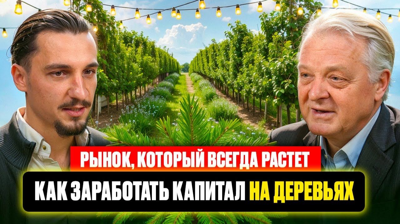 Рынок, который всегда растет. Как заработать капитал на деревьях.