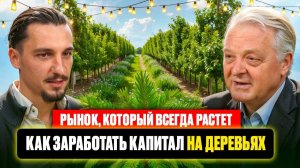 Рынок, который всегда растет. Как заработать капитал на деревьях.