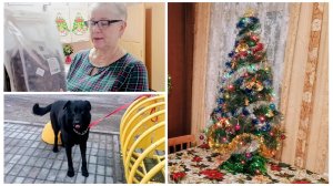 "Жизнь на пенсии"... Прислали подарок Вальту )) Украсила ёлку ..