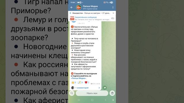 👆 Заключительная «Лапша на завтрак» в этом году, продолжаем разоблачать фейки, думая о курантах: