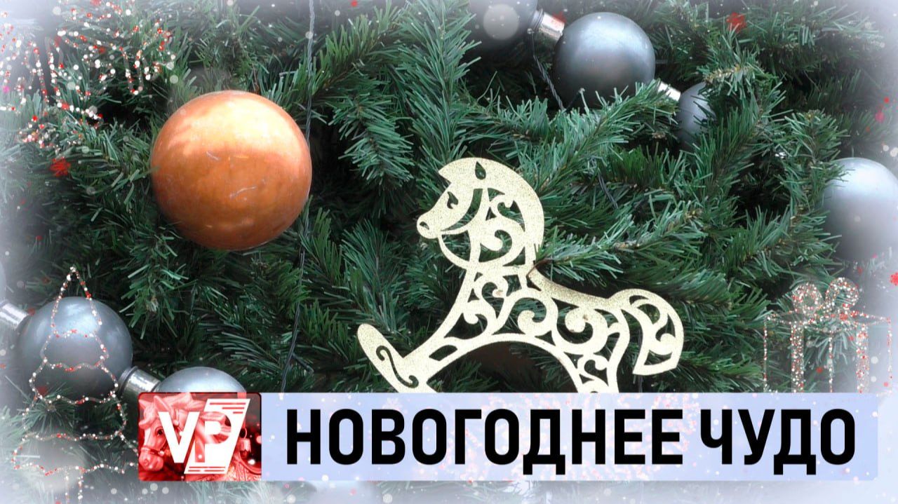 ВОЛГОГРАДЦЫ ПОДВОДЯТ ИТОГИ И ДЕЛЯТСЯ ПЛАНАМИ НА 2026 ГОД смотреть онлайн