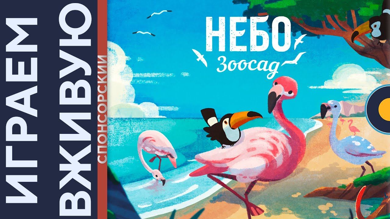 Зоосад. Небо — Играем вживую