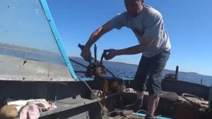 Поехал ловить треску!Как вялят рыбу на острове Кузова!