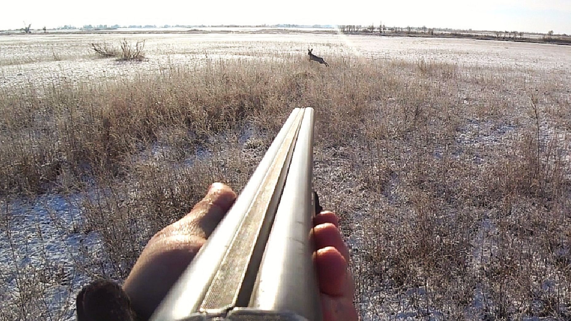 ПЕРВЫЙ СНЕГ! ОХОТА НА ЗАЙЦА. ДВА ДНЯ НА ОХОТЕ. ТРОПЛЕНИЕ ЗАЙЦА. ОХОТА С СОБАКОЙ. смотреть онлайн