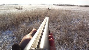 ПЕРВЫЙ СНЕГ! ОХОТА НА ЗАЙЦА. ДВА ДНЯ НА ОХОТЕ. ТРОПЛЕНИЕ ЗАЙЦА. ОХОТА С СОБАКОЙ.