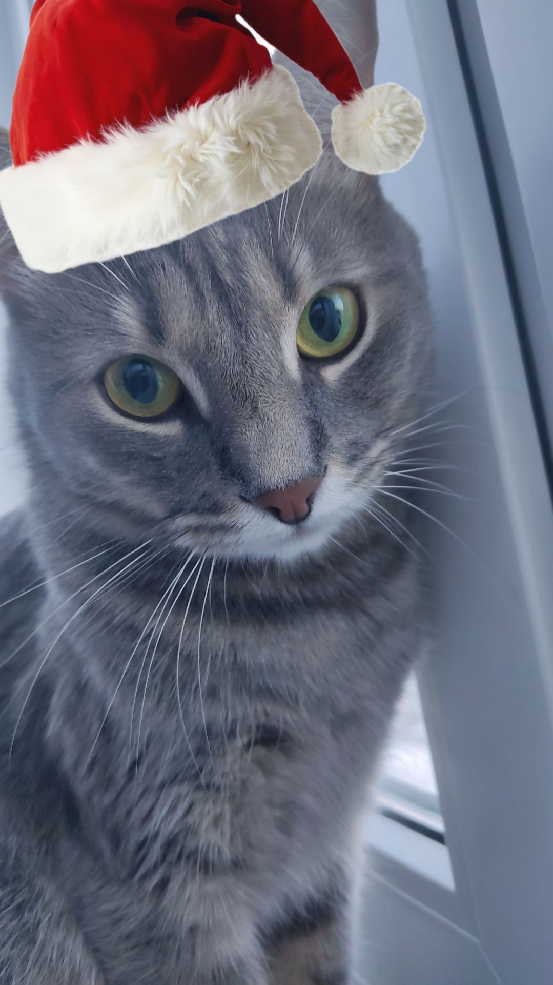 Ваня в ШОКЕ 😱