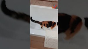 VID_20251227_110021.mp4