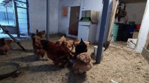 Выпал снег🕸🕸 Готовимся к новому году 🎄🎈🎈😻Подушки делала долго🙄😋