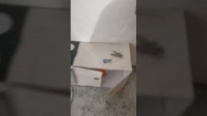 Бумажные собаки?Первое видео? да да.