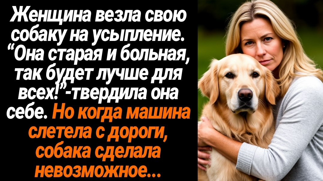 Жизненные Истории/Я везла свою собаку на усыпление. “Она старая и больная, так будет лучше для всех! смотреть онлайн