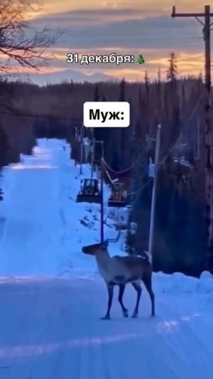 Муж на 31 декабря 🤣🤣🤣