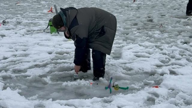 Форель на пассив смотреть онлайн