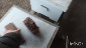 Решил осмотреть после морозов.