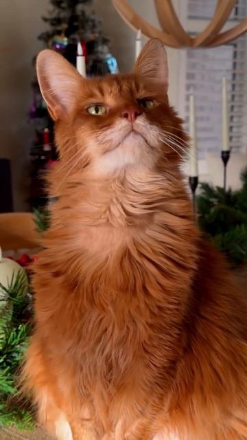 Заряжаемся новогодним настроением! смотреть онлайн