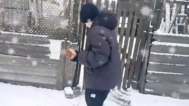 вернулся в совхоз, обзор что поменялось, выпал снег, новый год 2026.