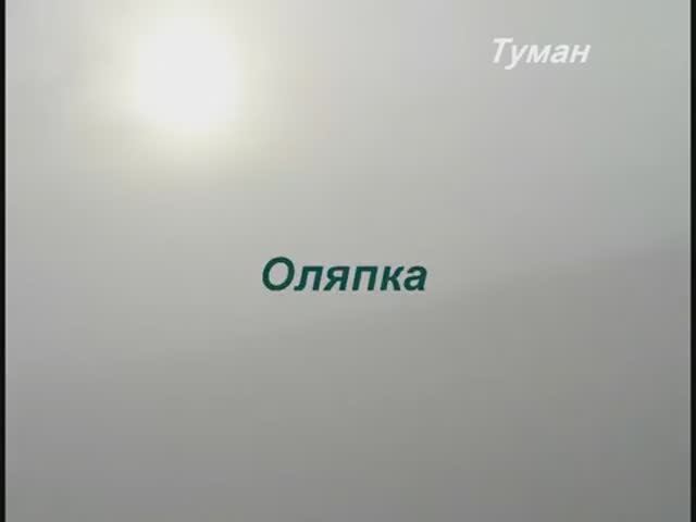 Оляпка