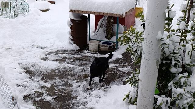 Нас снегом завалилоУра смотреть онлайн
