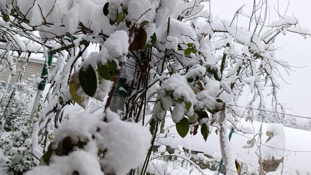 .У нас снежок ура смотреть онлайн