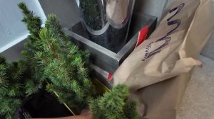 🌷Неделя флориста #48 - Предновогодняя неделя