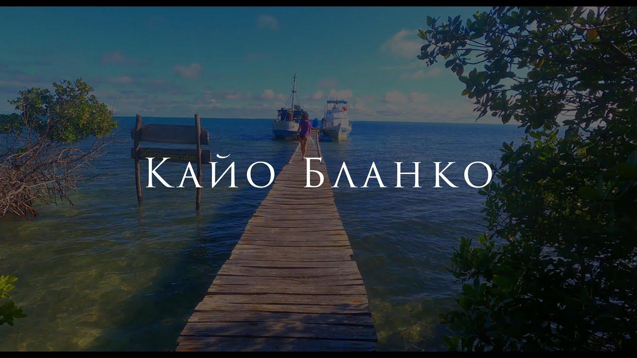 Кайо Бланко за 1 минуту