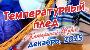Температурный плед с Катериной Шурм | Декабрь 2025 | 1 отчет | Вяжу 3 пледа