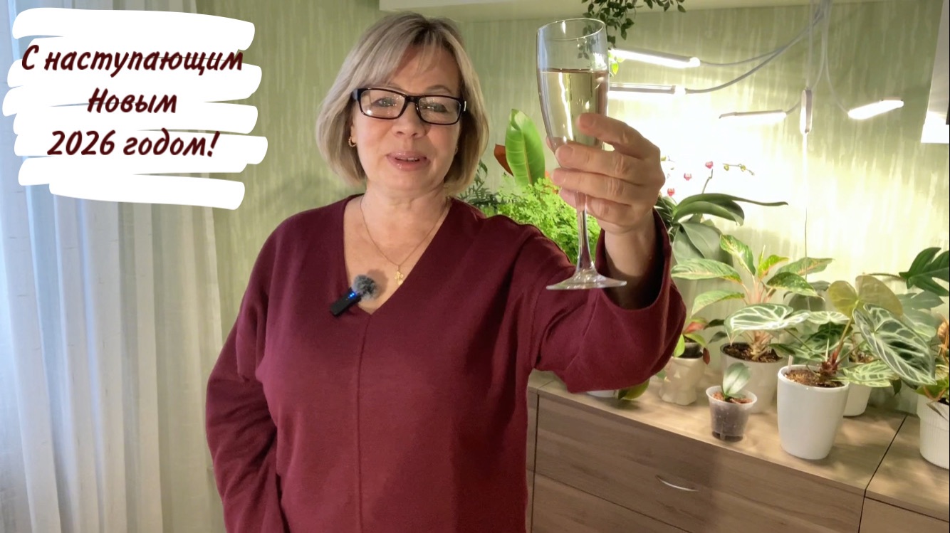 С наступающим Новым 2026 годом! смотреть онлайн
