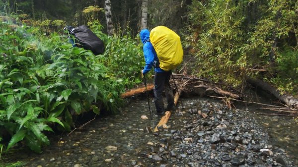 ПРИЁМЫ ВЫЖИВАНИЯ В ЛЕСУ, НОЧЬ В ИЗБУШКЕ, ПОСЛЕДНИЙ ПОХОД ГРУППЫ
