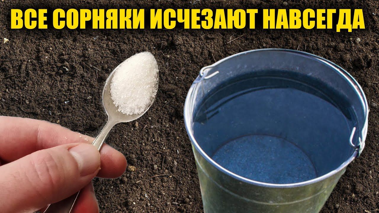 Любые сорняки исчезнут за 1 минуту навсегда! Проверенный способ как избавиться от сорняков без химии смотреть онлайн