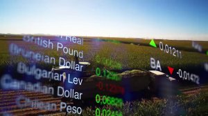 Управление агробизнесом и прибыль сельхозпредприятия | Агрофорум «Сила Земли»