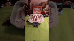 РИТУАЛ ОТ АЛКОГОЛЬНОЙ ЗАВИСИМОСТИ!