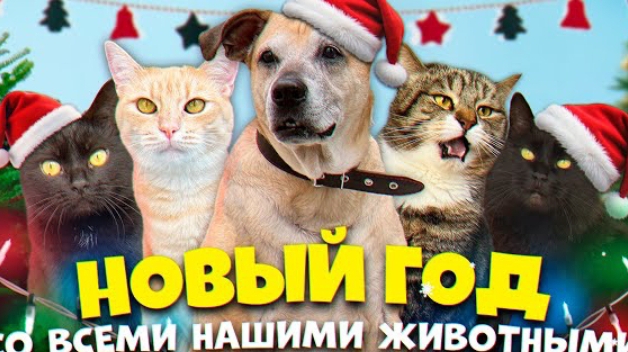 Новый год со всеми нашими домашними животными (SANISHOW)