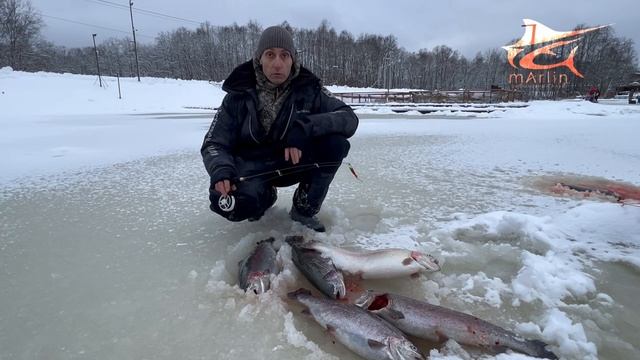 Алексей рассказал как сегодня проходит рыбалка. смотреть онлайн
