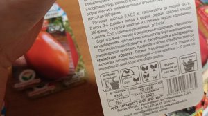 Обзор сортов томата для открытого грунта  в 2026 году.