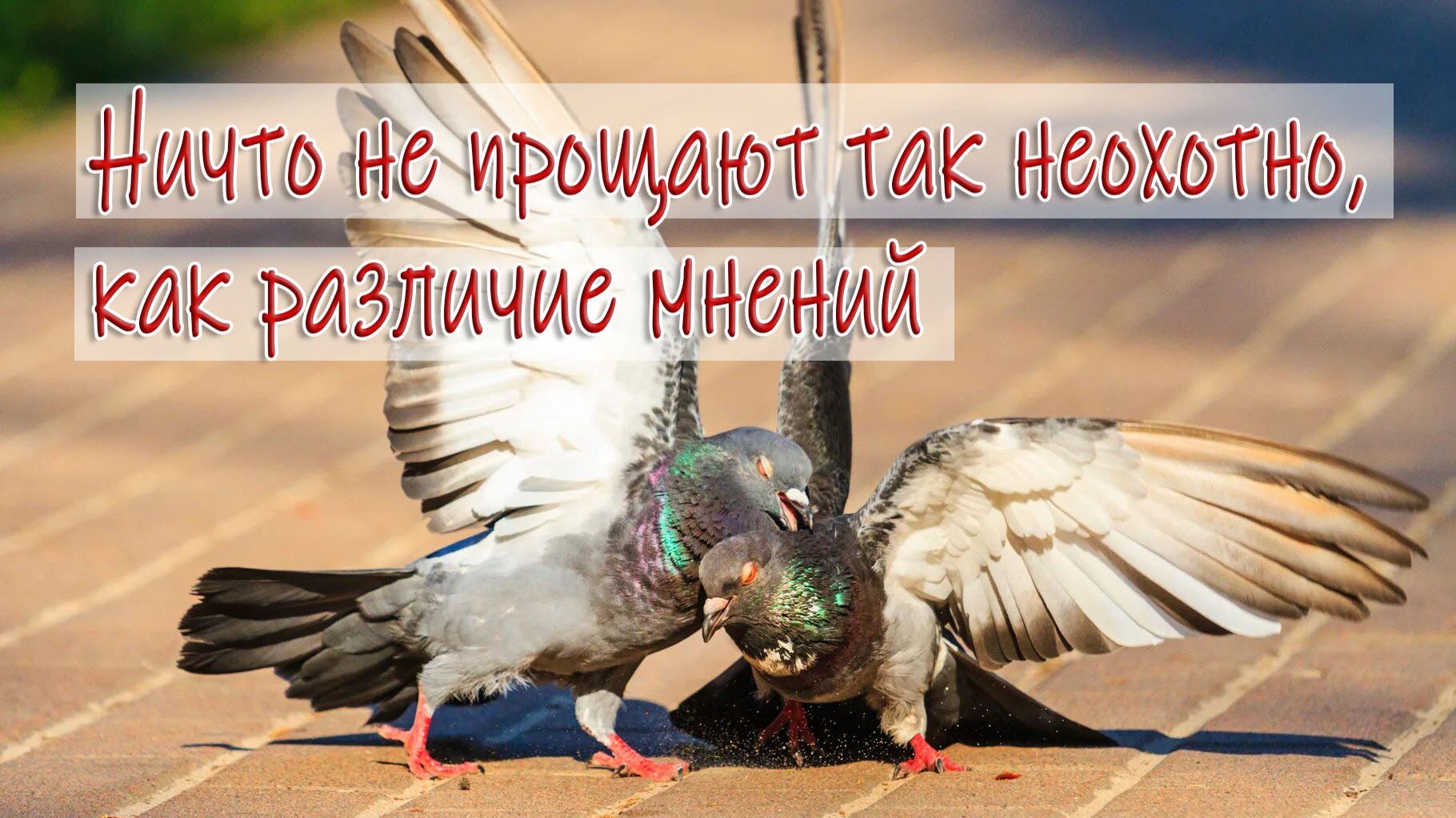 итоги