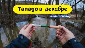 #microfishing | Tanago в декабре или плотва на поплавок |