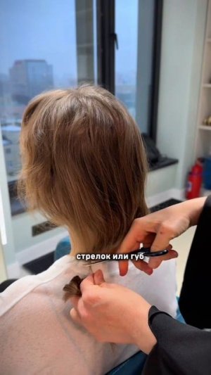 #галинатоторина #самьяро #новости #командасамьяро