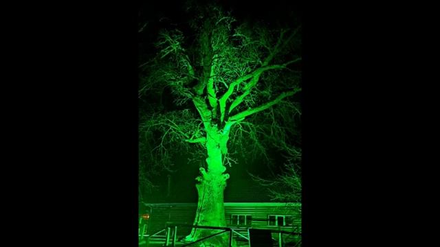 Архив . Воронежский государственный природный биосферный заповедник смотреть онлайн