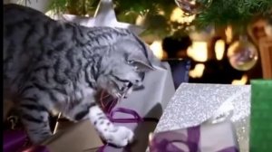 Если снежинка не растает (Новый год, новогодние песни)