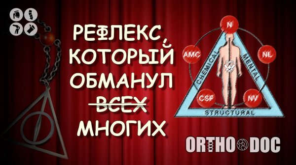 Ortho-Doc - Прикладная кинезиология
