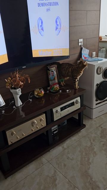 Лиза слушает музыку