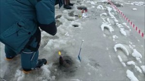 Блёсны работают лучше раттлинов. Клёвое место, Лосиный остров, верхний водоём.