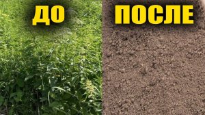 Избавилась от сорняков навсегда!