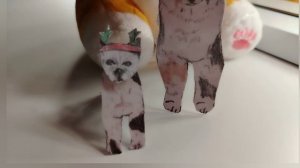 Видео про меня! 😉
Новый пёсик?