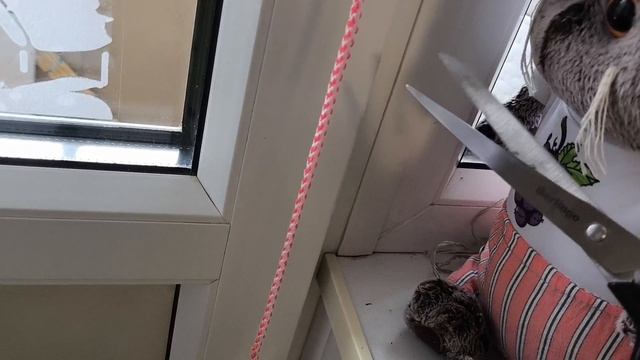 Басино желание победить🏆 смотреть онлайн