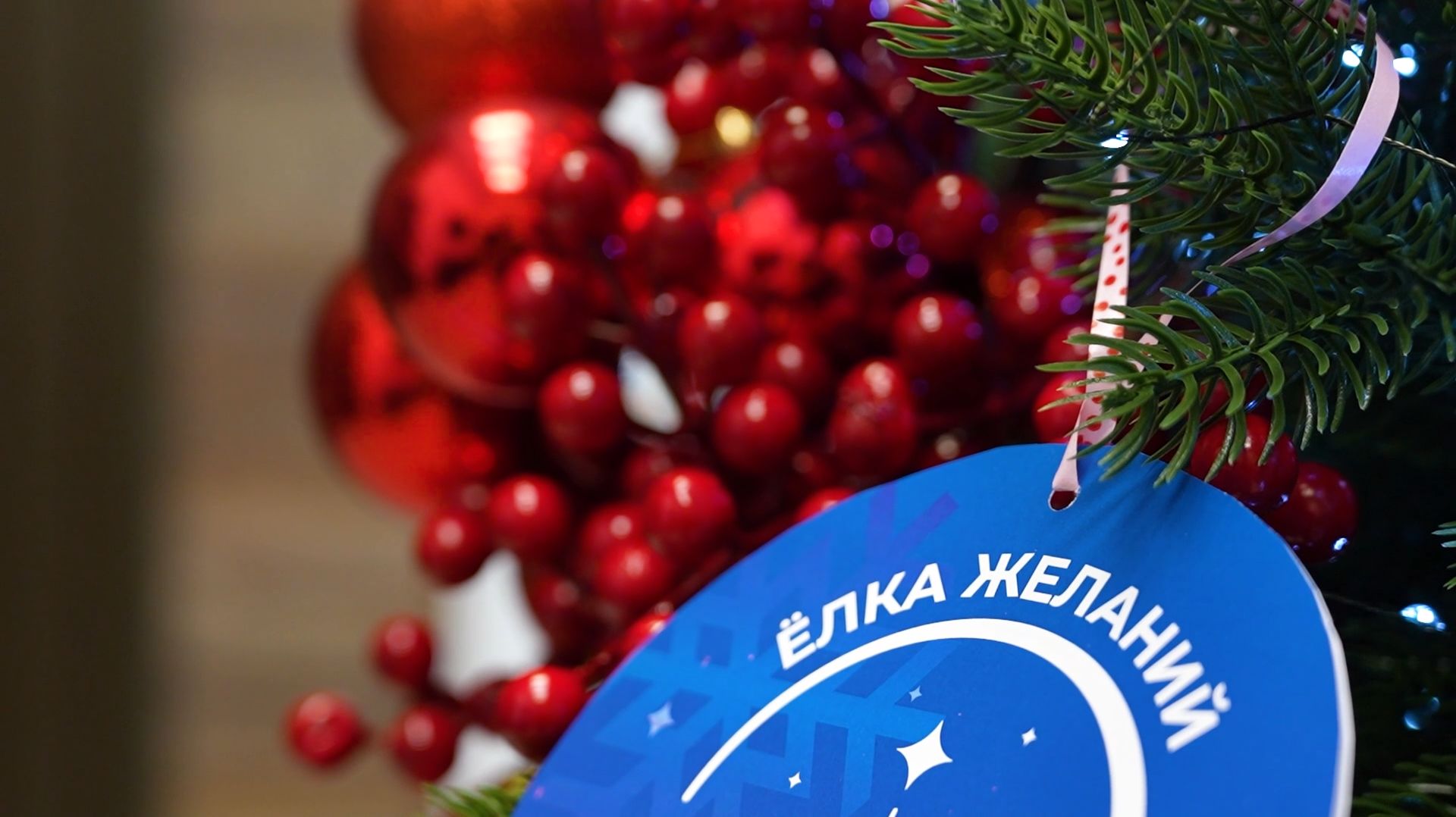 Детей участников СВО поздравили в рамках акции «Ёлка желаний» смотреть онлайн
