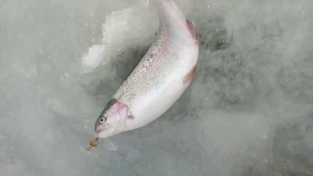 Лампочка Ильича в деле)) смотреть онлайн