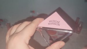 Корейский проджект пен. Итоги.